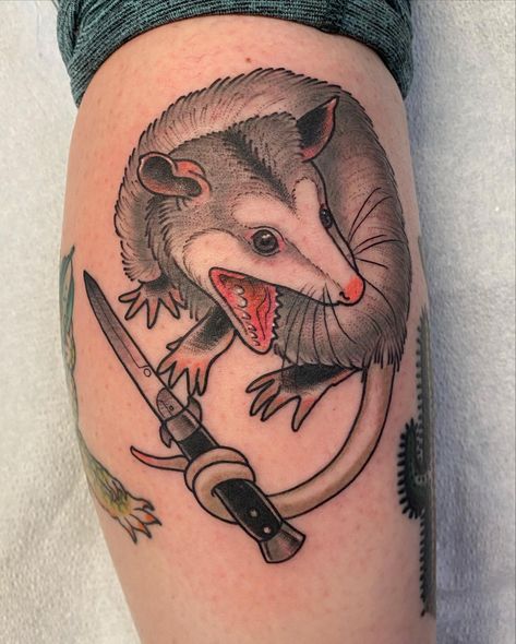 Opossum Costume, Funny Animal Tattoos, Raccoon And Possum Tattoo, Opossum Drawing, Chance Tattoo, Screaming Possum Tattoo, Possum Tattoo, Traditional Opposum Tattoo, Possum Flash Tattoo