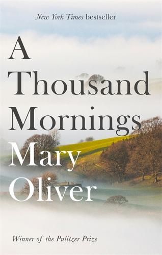 A Thousand Mornings Spring In New York, Mary Oliver, Blue Horse, The Hours, Amazon Book Store, Online Bookstore, Poetry Books, Book Set, Poets