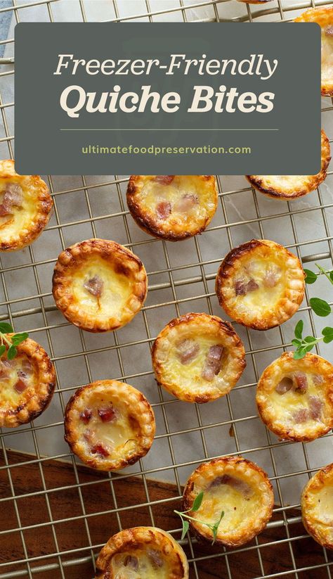 Freezer Friendly Mini Quiche, Freezer Mini Quiche, Savory Freezer Snacks, Freezable Mini Quiche, Freezer Friendly Baking, Quiche Freezer Meal, Freezable Quiche Recipes, Freezer Friendly Meal Prep Lunches, Freezer Quiche Make Ahead