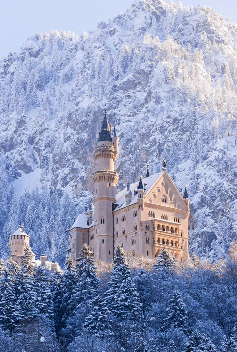 Neuschwanstein Castle in Winter  #Neuschwanstein Castle Bedroom, Old Castle, Castle Aesthetic, Germany Castles, Neuschwanstein Castle, Chateau France, Castle House, Fantasy Castle, Winter Scenery