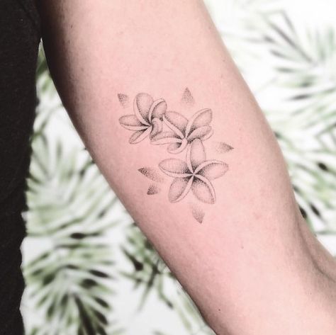 Frangipani Flower Tattoo, Frangipani Tattoo Designs, Granny Tattoo, Plumeria Flower Tattoos, Frangipani Tattoo, Alex Tattoo, Special Tattoo, Plumeria Tattoo, Ohana Tattoo