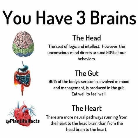 You have 3 brains Brain Facts, Medical Knowledge, Health Knowledge, Mental And Emotional Health, Health Info, Health Facts, Brain Health, Emotional Health, Health Remedies