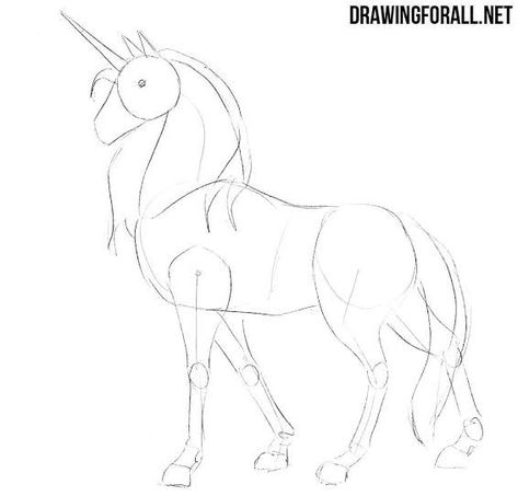 Front Head Drawing, Draw A Unicorn, Horse Art Drawing, Unicorn Drawing, Horse Sketch, Head Drawing, Animal Drawings Sketches, Drawing Animals, Art Tools Drawing