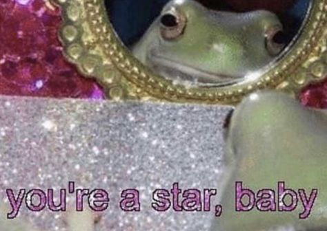 star frog is not wrong about you Frog Meme, Baby Frog, Reaction Pic, In Memes, You Meme, Reaction Pics, Cartoon Memes, Re A, Cute Images