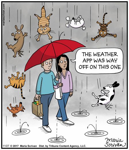 Nov 27, 2017 Raining Cats And Dogs Funny, Rain Humor, Rain Cartoon, American Idioms, Coffee Sayings, Snowman Cartoon, Cat Fun, Idiomatic Expressions, Raining Cats And Dogs