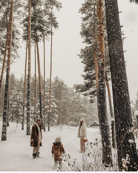 Snow Cabin Photoshoot, Winter Forest Family Photos, Cabin Family Photoshoot, Family Christmas Pictures Outdoor, Snowy Family Photos, Snow Family Photos, Snow Family Pictures, Winter Family Portraits, Christmas Elopement