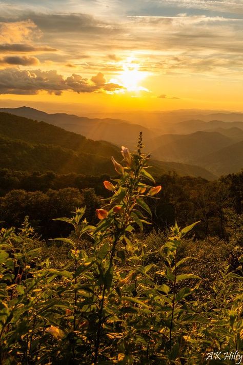 Blue Ridge Mountain Life Group | Parkway sunset 8/6/24 | Facebook Blue Ridge Mountain, Life Group, Mountain Sunset, Mountain Life, Blue Ridge Mountains, Blue Ridge, Sunrise Sunset, The Great Outdoors, Primary Colors