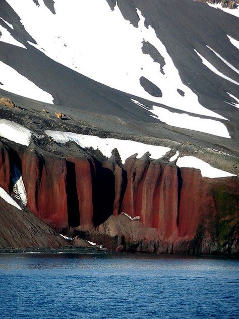 Antarctica. fantastic color pallet Deception Island, Antarctica Travel, Places Photography, Winter Landscapes, Wild Nature, Once In A Lifetime, Going Home, Amazing Nature, Domain Names