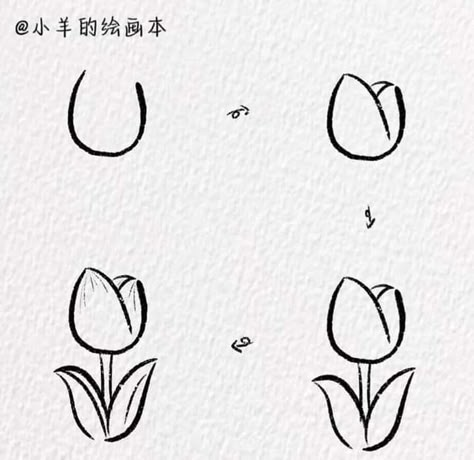 Drawing Pad Ideas, How To Draw A Tulip Easy, Tulip Drawing Easy, Simple Tulip Drawing, Tulip Drawing Simple, How To Draw Tulips, Square Sketchbook, Simple Flower Drawing, Tulip Drawing