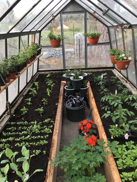 Vegetable Greenhouse, Greenhouse Diy, Outdoor Greenhouse, Small Vegetable Gardens, Homestead Gardens, Potager Garden, Greenhouse Growing, Backyard Greenhouse, Barndominium Ideas Floor Plans