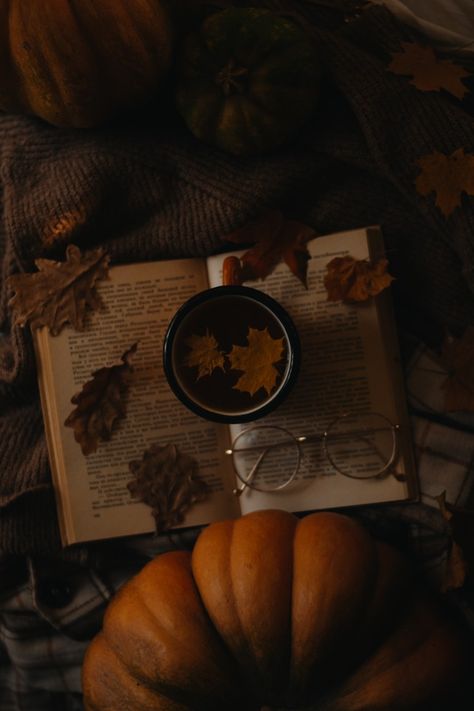 November Aesthetic Dark, Eva Aesthetic, Aesthetic University, Moodboard Inspo, Fall Mood Board, Fall Things, Autumn Magic, Aesthetic Autumn, Dark Autumn