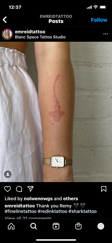 Red Shark Tattoo, Swimming Shark Tattoo, Small Whale Shark Tattoo, Dainty Shark Tattoo, Fine Line Red Tattoo, Shark Fine Line Tattoo, Line Ocean Tattoo, Red Minimalist Tattoo, Small Whale Tattoo