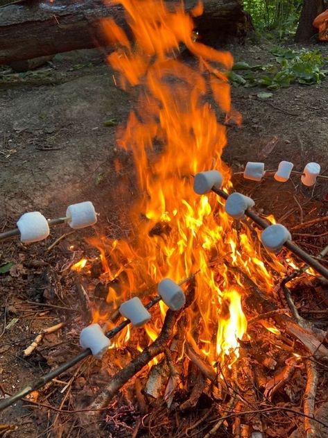 Summer Camp Aesthetic, Camp America, Affiches D'art Déco, Camping Vibes, Camping Aesthetic, Camp Vibes, Sukkot, Summer Plans, Summer Bucket Lists