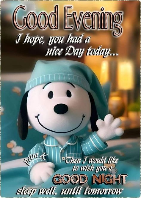 Cute Good Night Quotes, Good Night Blessings Quotes, Good Night Sleep Well, Good Evening Messages, Good Night Prayer Quotes, Good Morning Snoopy, Happy Day Quotes, Good Night Funny, Good Evening Greetings