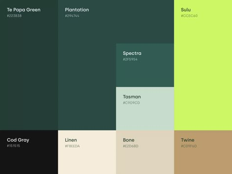 Green Branding, Pantone Colour Palettes, Color Design Inspiration, Green Palette, Brand Color Palette, Green Colour Palette, Color Palette Design, Color Profile, Paint Palette