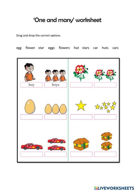 One And Many Activities, One And Many Worksheet, Maths Classroom Displays, One And Many, Singular Plural, Lkg Worksheets, Alphabet Writing Worksheets, Worksheets For Class 1, Preschool Activities Printable