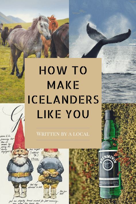 Moving To Iceland, Holiday Goals, Iceland Resorts, Honeymoon Adventure, Iceland Air, Going Abroad, Iceland Vacation, Iceland Trip, Iceland Travel Guide