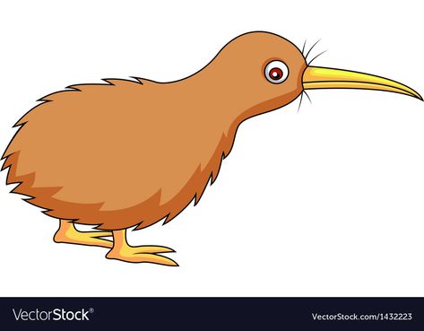 Kiwi Cartoon, Bird Cartoon, Cartoon Download, Animal Shapes, Kiwi Bird, Australia Animals, Spanish Lessons, Cartoon Images, Big Picture