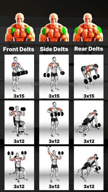 Dumbell Shoulder Workouts, Dumbbell Upright Row, Pull Day Workout, Dumbbell Only Workout, Dumbbell Shoulder Press, Face Pulls, Rear Delt, Bodybuilding Workout Plan, Workout For Flat Stomach