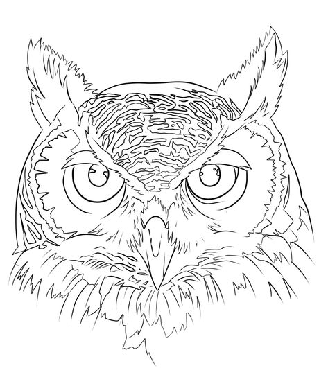 Owl Tattoo Design Sketches Drawings, Animal Stencil Art Tattoo Ideas, Owl Tattoo Stencils Outline Design, Owl Face Tattoo Design, Owl Stencil Tattoo, Owl Eyes Tattoo Design, Owl Head Drawing, Owl Sketch Tattoo, Owl Design Drawing