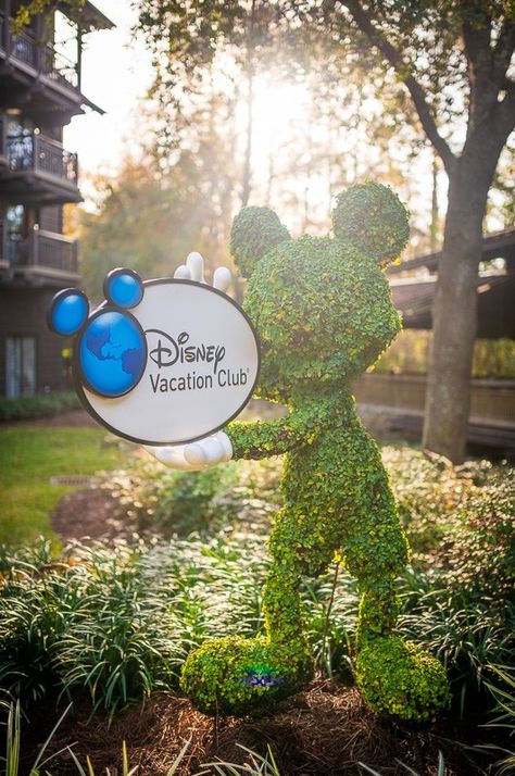 Boulder Ridge Resort Report: Buy Low? - Disney Tourist Blog Disney Tourist Blog, Disney Resort Hotels, Disney World Tickets, Animal Kingdom Lodge, Disneyland Vacation, Disney Dining Plan, Disney Vacation Club, Vacation Club, Walt Disney World Vacations