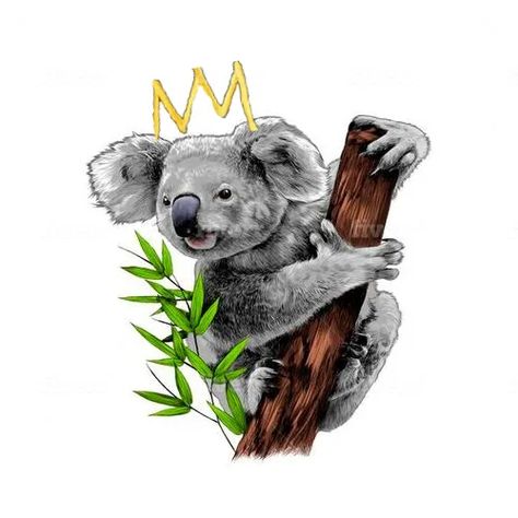 Koala Bear Tattoo, Koala Tattoo, Koala Drawing, Koala Illustration, Koala Art, Animals Abstract, Cute Koala Bear, Butterfly Animal, Koala Bears