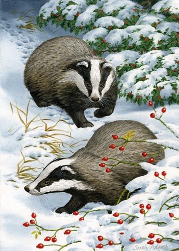 Badger Illustration, Animal Paintings Acrylic, Tree Mural, Sketchbook Tour, Textile Art Embroidery, Linocut Art, Winter Woodland, Arte Animal, Wildlife Animals