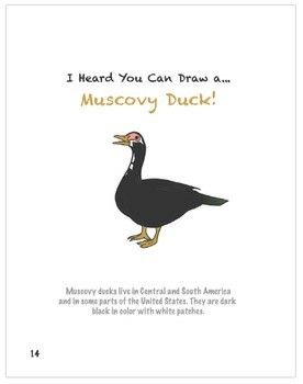 Muscovy Duck Tattoo, Beginner Drawing Lessons, Left Arm Tattoos, Duck Tattoos, Muscovy Duck, Duck Drawing, White Patches, Arm Tattoos, Drawing For Beginners