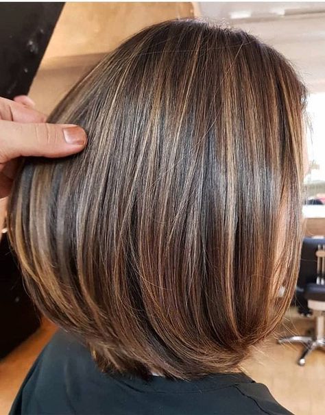 Purple Highlights Brown Hair, Highlights Brown Hair Short, Highlights Brown Hair Balayage, Brown Bob Hair, Highlights For Brown Hair, Brown Hair With Caramel Highlights, Short Hair Highlights, Honey Brown Hair, Hair Color Light Brown