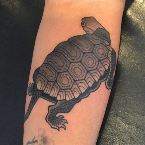 Traditional Japanese Turtle Tattoo, Japanese Gap Filler Tattoo, Japanese Turtle Tattoo, Japanese Turtle, Tengu Tattoo, Point Tattoo, Designing Tattoos, Gap Filler Tattoo, Tortoise Tattoo