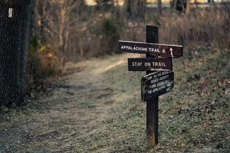 Appalachian Mountains Creepy, Appalachian Witch Aesthetic, Dark Appalachian Aesthetic, Appalachian Trail Aesthetic, Appalachian Cryptids, Appalachia Gothic, Haunted Appalachia, Appalachia Core, Appalachian Gothic Aesthetic