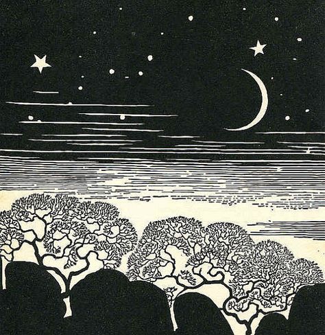 Don Blanding: Starry Night With Trees, 1948. Soul Healing Art, Digital Museum, Night Art, Lino Print, Linocut Prints, Funny Art, Antique Art, Linocut, Vintage Illustration