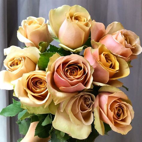 Gotham Florist on Instagram: “What color roses does your mom love? These are golden Mustard. ✨” Golden Mustard Rose, Color Roses, Mom Love, Your Mom, Gotham, Pretty Flowers, Tablescapes, Floral Wedding, Florist