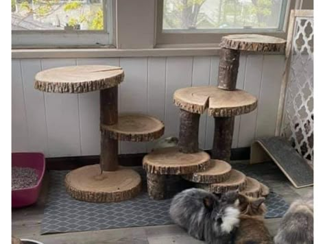 Diy Rabbit Playground, Diy Bunny Hideout, Rabbit Enrichment Ideas, Mountain Diy, Rabbit Playground, Indoor Rabbit House, Rabbit Tree, Diy Bunny Toys, Rabbit Enclosure