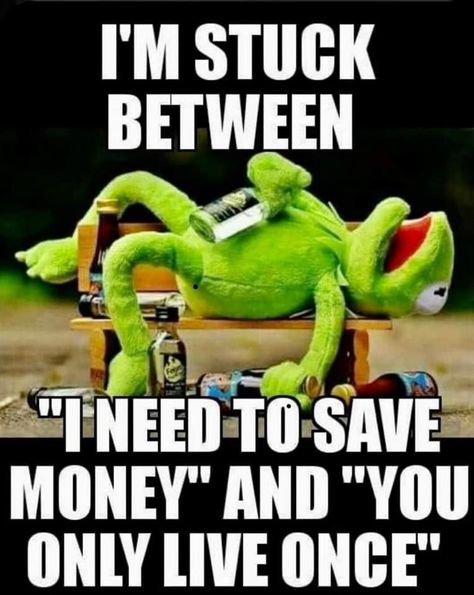 Money Meme, Money Funny, Kermit Funny, Only Live Once, A Meme, Funny Thoughts, Green Frog, How To Save Money, Sarcastic Quotes Funny