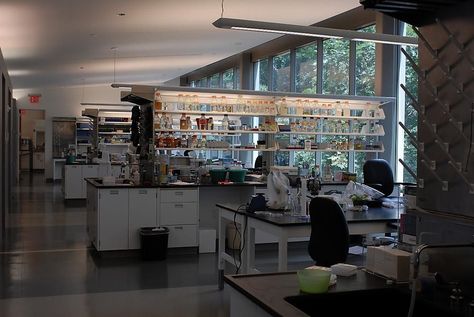 "inside lab" Pfizer | Glassdoor Photos Laboratory Design, Office Photos, Biology Labs, Medical Laboratory Science, Photo Room, Pharma Companies, Laboratory Science, Research Lab, Meeting Rooms