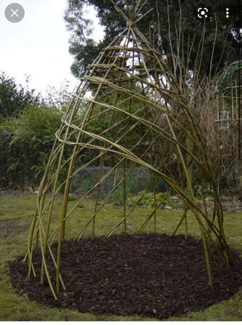 Willow Den, Willow Sculptures, Den Den, Natural Playgrounds, Willow Garden, Living Willow, Willow Weaving, Sensory Garden, School Garden