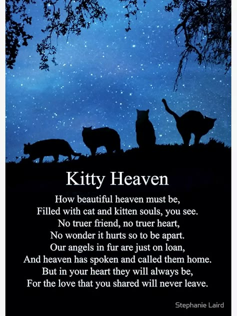 "Cat Heaven Sympathy Poem for Memorial For Cat" Greeting Card for Sale by Stephanie Laird | Redbubble Pet Poems, Cat Poems, Cat Love Quotes, Sympathy Poems, Cat Sympathy, Cat Heaven, Cat Loss, Pet Remembrance, Pet Sympathy