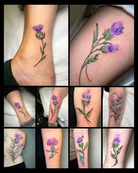 Thistle Tattoos, Highland Cow Tattoo, Thistle Flower Tattoo, Scottish Thistle Art, Just Breathe Tattoo, Scotland Tattoo, Watermelon Tattoo, Scottish Thistle Tattoo, Scottish Tattoo