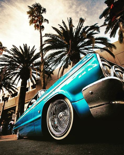 Tumblr is a place to express yourself, discover yourself, and bond over the stuff you love. It's where your interests connect you with your people. Lowrider, Palm Trees, Trees, Cars, Tumblr, Blue