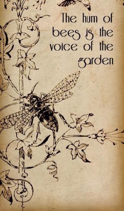 Bee Printables, Garden Quotes, Bee Decor, Bee Art, Bees Knees, Save The Bees, Crafts Projects, Bee Happy, Old Book