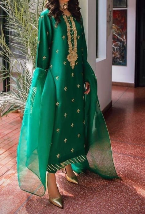 Green Punjabi Suit, Green Pakistani Dress, Green Suit Women, Colour Party, Suit Green, Pakistani Women Dresses, Dark Red Dresses, Womens Pants Design, Velvet Dress Designs