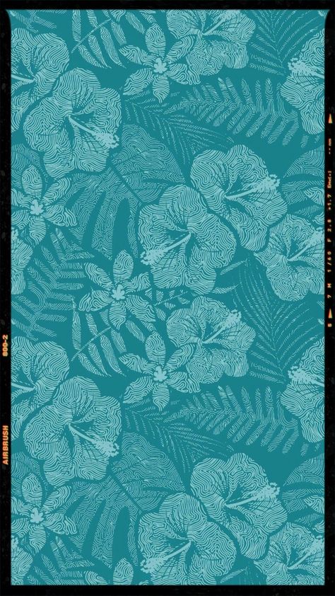 Wallpapers Cute Flower Wallpaper, Teal Wallpaper Iphone, Summer Prints Wallpaper, Turquoise Aesthetic, Top Flowers, Turquoise Wallpaper, Cute Summer Wallpapers, Teal Wallpaper, Cute Flower Wallpapers