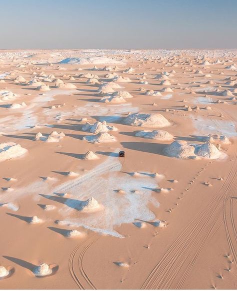 White Desert Egypt, Egypt Project, White Desert, Desert Oasis, Egypt Travel, Nature Plants, Africa Travel, Cairo, Luxury Travel