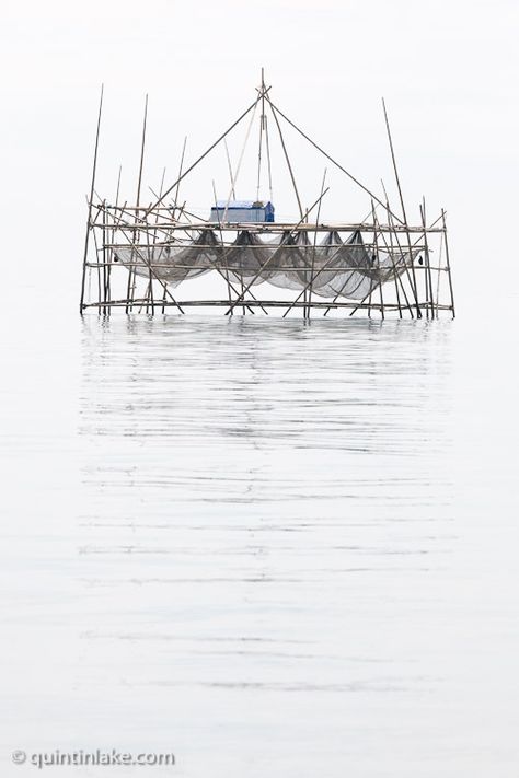 Bagang or fishing platform for catching Anchovy or (Ikan Bilis) Fishing Platform, Sandakan, Funny Parrots, Types Of Fish, Fishing Net, Anchovies, Fishing Villages, Buy Prints, The Net