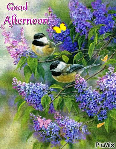 수채화 그림, Two Birds, Bird Pictures, Little Birds, Wildlife Art, Birds Painting, Bird Art, Beautiful Birds, Purple Flowers