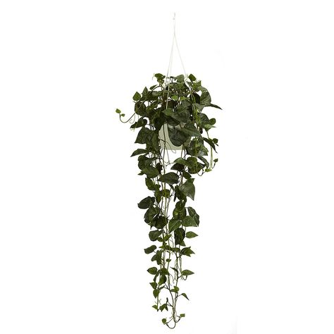 Philodendron Hanging Basket Grass Texture, Plants In Baskets, Hanging Plants Diy, Artificial Plant Arrangements, Philodendron Plant, Artificial Plants Indoor, Artificial Plant Wall, Fleurs Diy, Hanging Plants Indoor