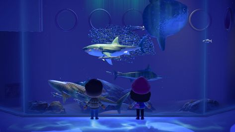 ACNH Museum Aquarium - Whale Shark!! Acnh Aquarium, Animal Crossing Aquarium, Aquarium Trip, Acnh Museum, Animal Crossing Fish, Animal Crossing Cafe, Filmmaking Inspiration, Giant Waves, Butterfly Project