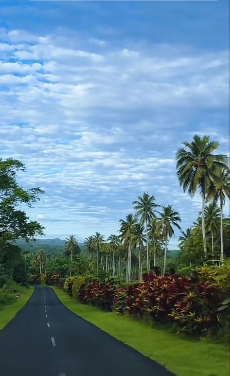 Palau Aesthetic, Pacific Islander Aesthetic, Samoan Aesthetic, Samoa Aesthetic, Moana Aesthetic, Travel To Fiji, Increase Knowledge, Polynesian Art, Africa Do Sul