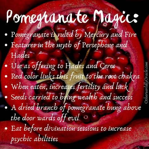 Hades and Persephone: A Complex Story of Love and Divinity Goddess Of Life, Manifestation Prayer, Persephone Goddess, Chart Astrology, Magickal Herbs, Witch Herbs, Witch Spirituality, Bottle Ideas, Magical Herbs